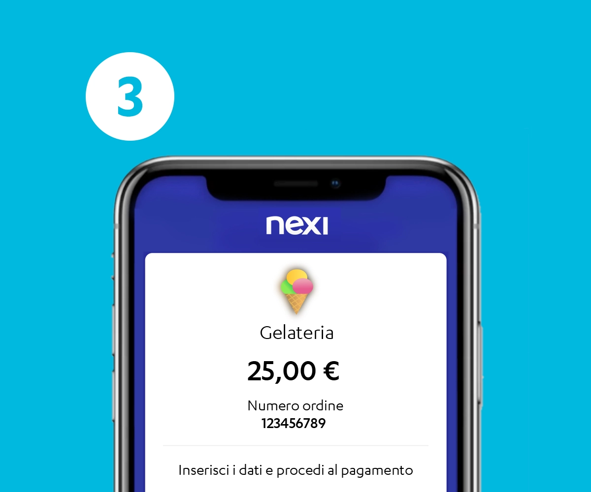 XPay Link